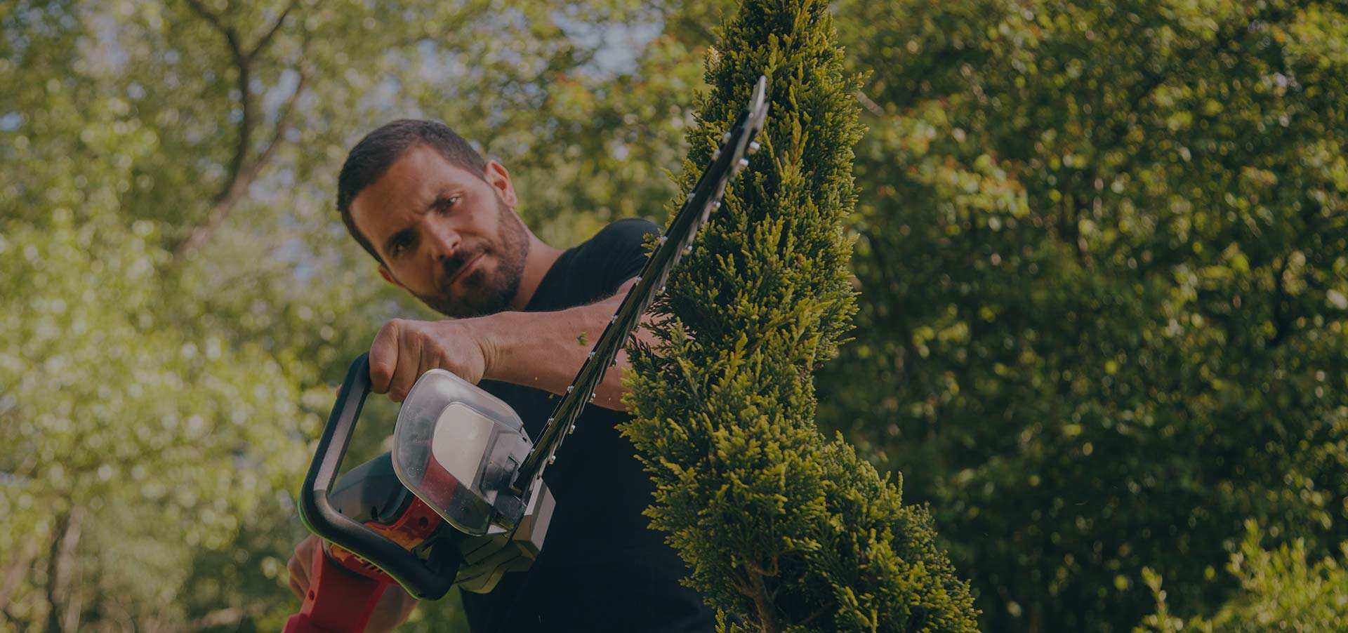 NINGBO AOSHENG MÁQUINA CO., LTD.