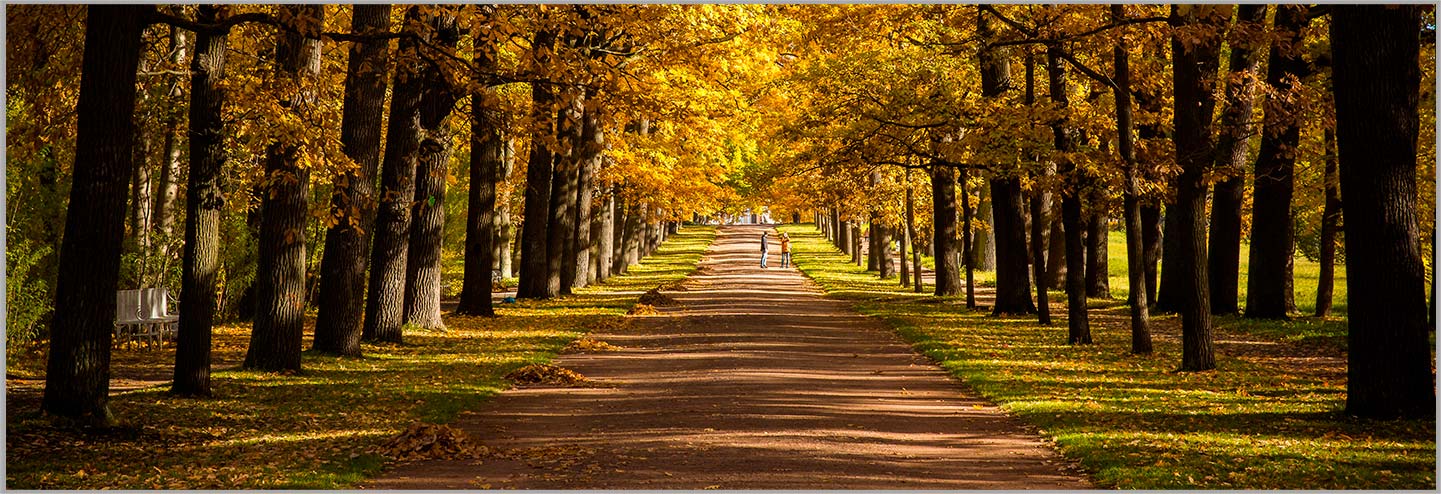 NINGBO AOSHENG MÁQUINA CO., LTD.